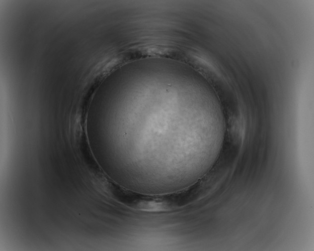 X0000088190506200705221705