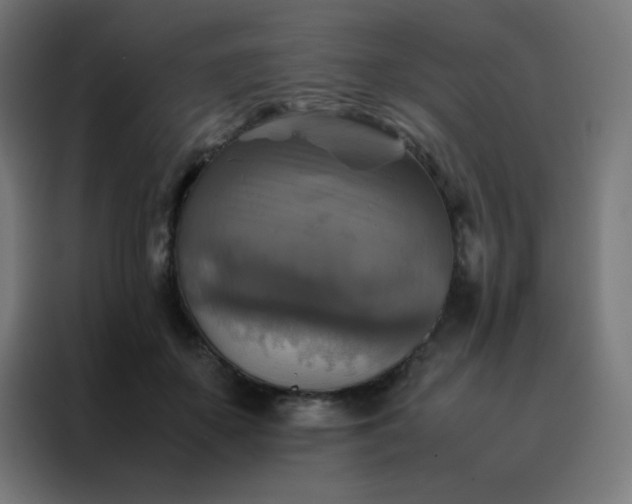 X0000088190507200705221705