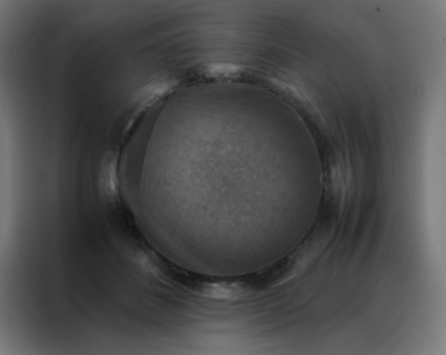 X0000088190508200705221705