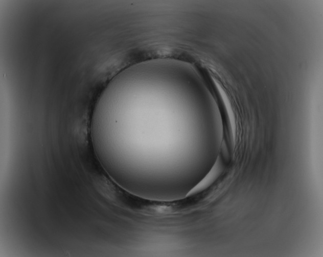 X0000088190509200705221705