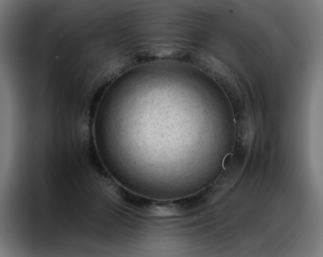 X0000088190510200705221705