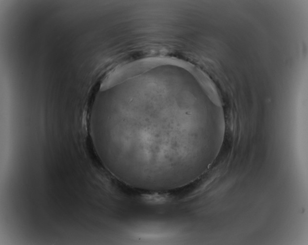 X0000088190511200705221705
