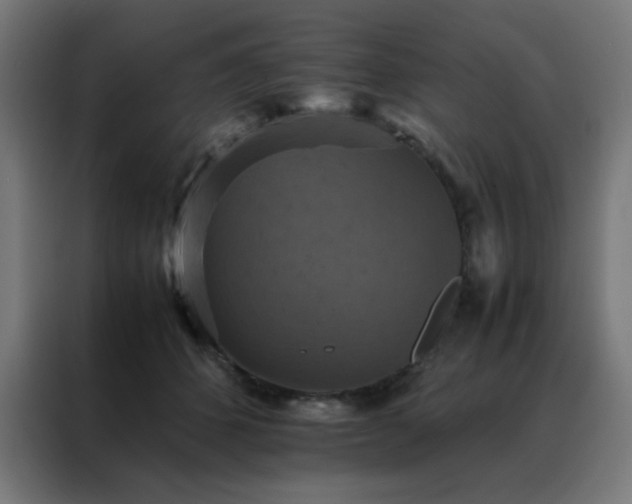 X0000088190512200705221705