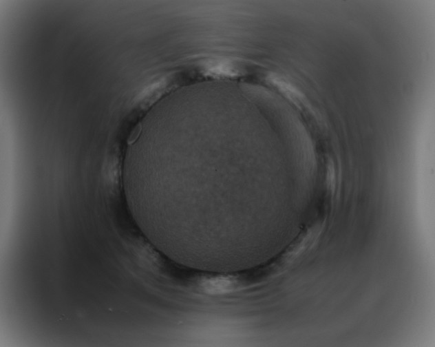 X0000088190513200705221705