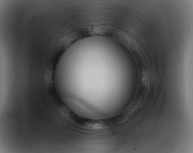 X0000088190514200705221705