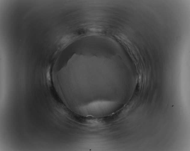 X0000088190516200705221705