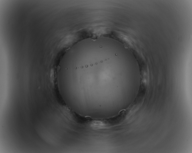 X0000088190519200705221705