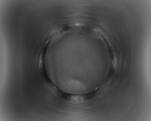X0000088190520200705221705