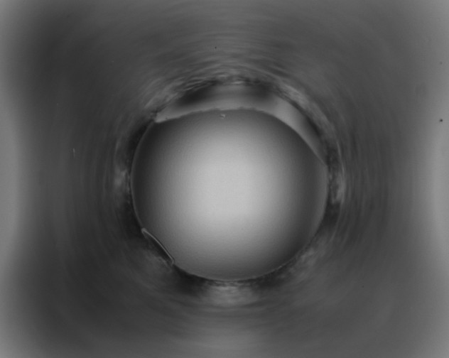 X0000088190521200705221705