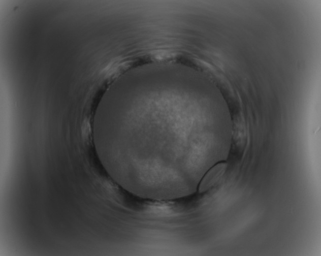 X0000088190523200705221705