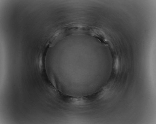X0000088190524200705221705