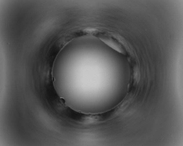 X0000088190525200705221705