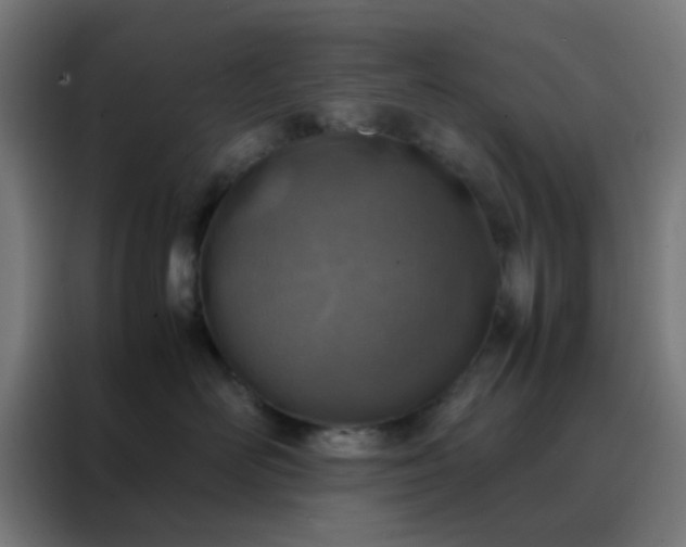 X0000088190526200705221705