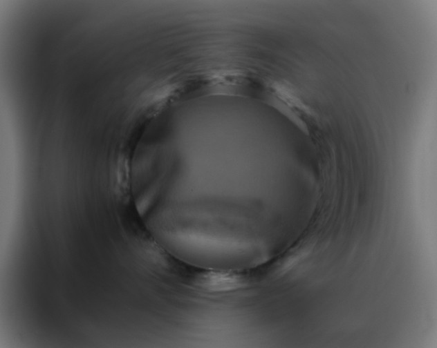 X0000088190528200705221705