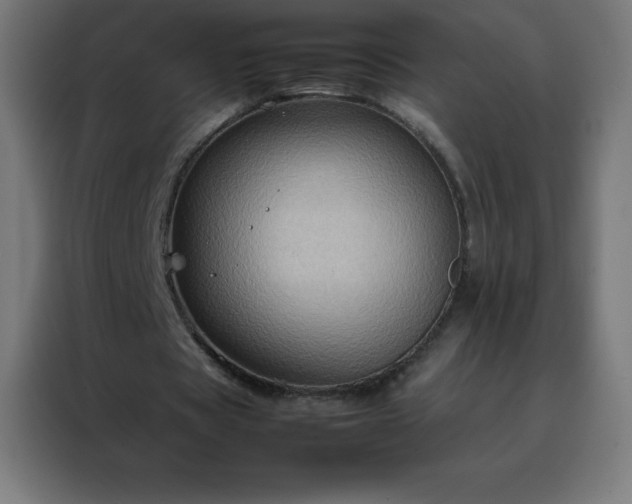 X0000088190529200705221704