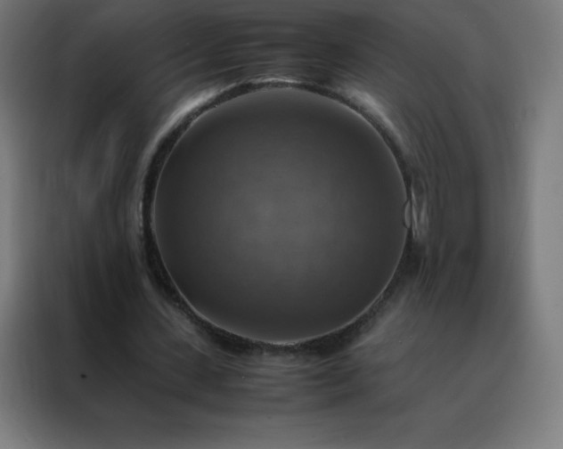 X0000088190531200705221704