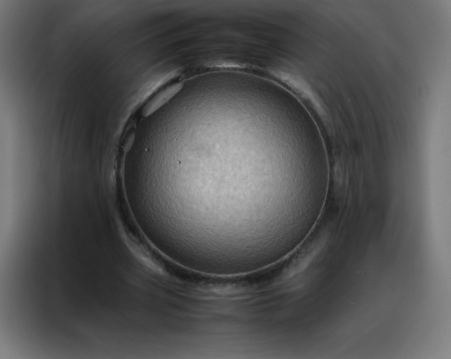 X0000088190533200705221704