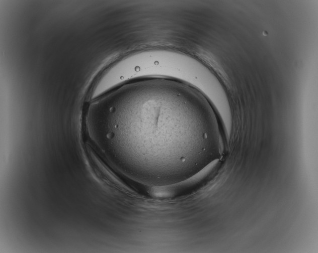 X0000088190534200705221704