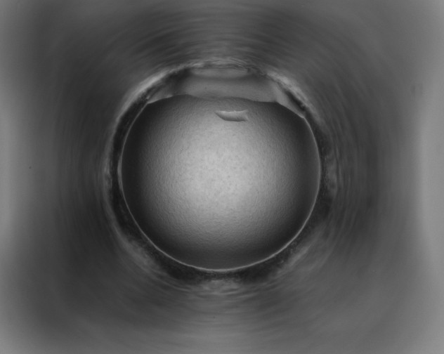X0000088190536200705221704