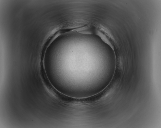 X0000088190538200705221704