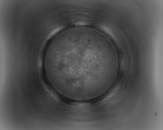 X0000088190539200705221704