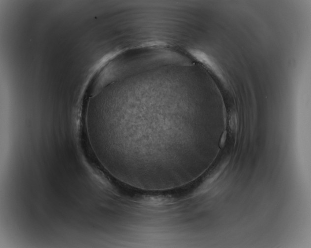 X0000088190540200705221704