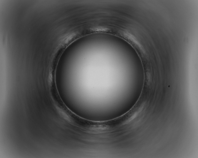 X0000088190541200705221704