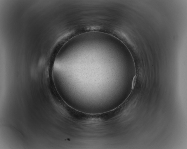 X0000088190543200705221704