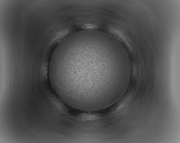 X0000088190545200705221704