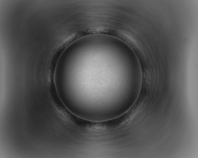 X0000088190546200705221704