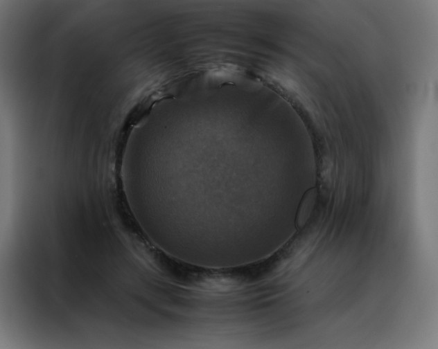 X0000088190547200705221704