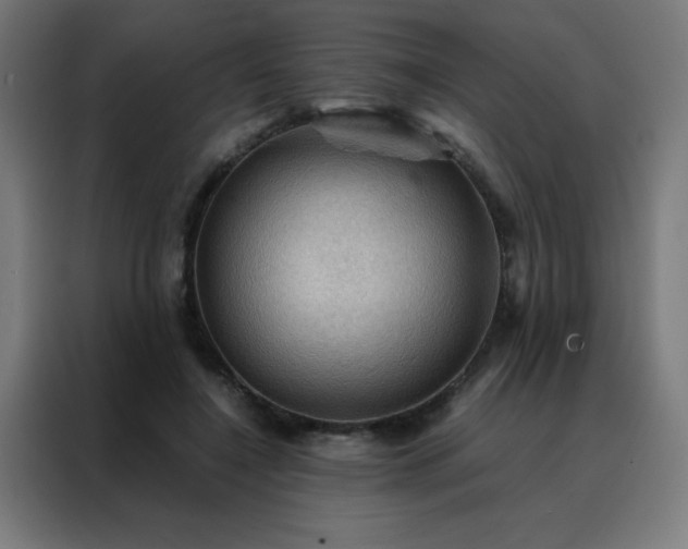 X0000088190548200705221704
