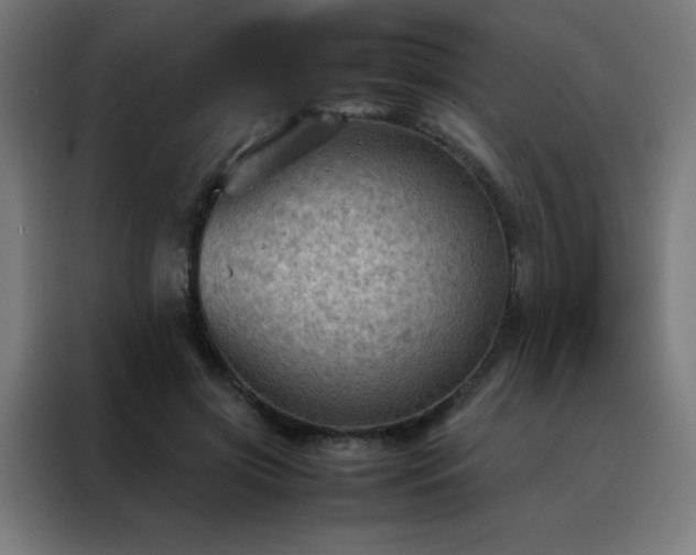 X0000088190549200705221704