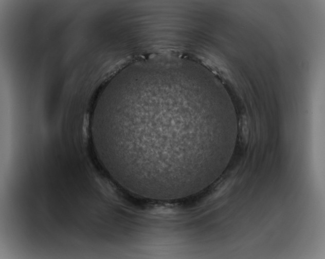 X0000088190550200705221704
