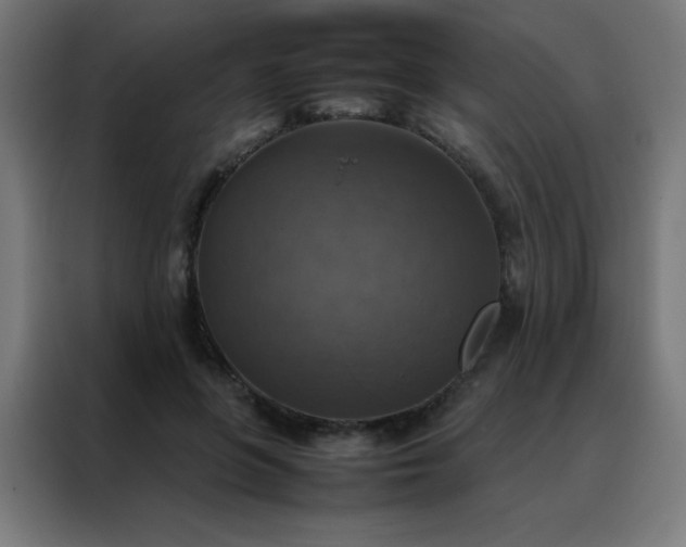 X0000088190551200705221704