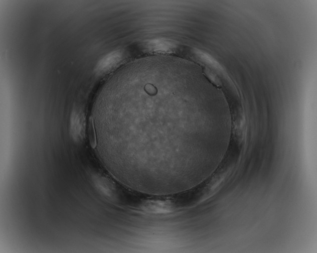 X0000088190552200705221704