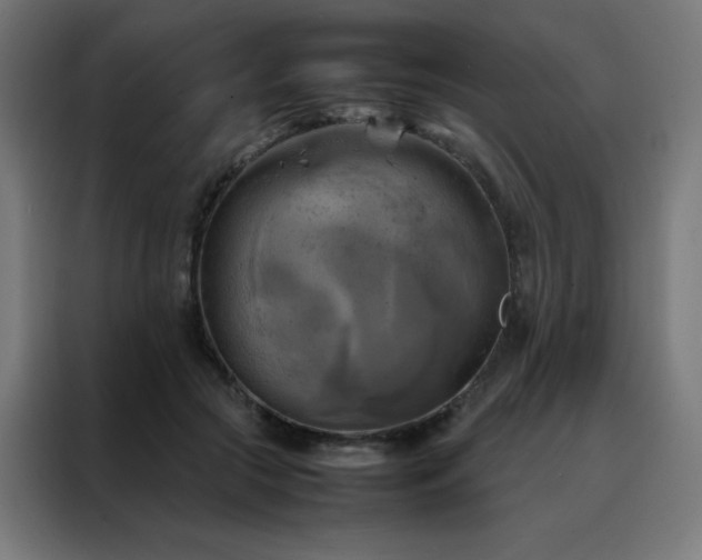 X0000088190553200705221704