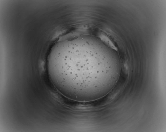 X0000088190556200705221704