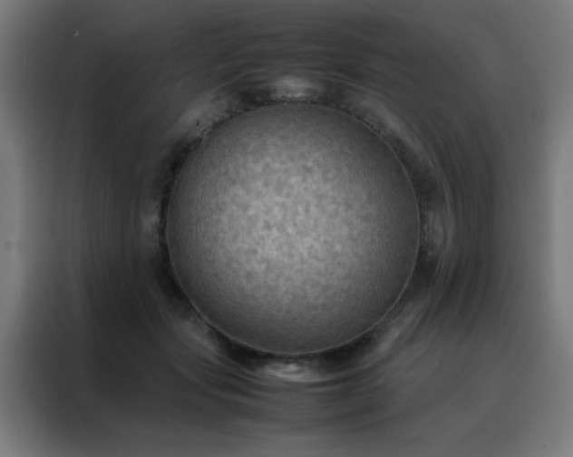 X0000088190557200705221704