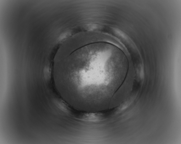 X0000088190558200705221704