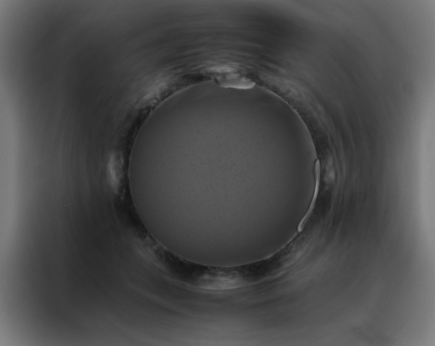 X0000088190559200705221704