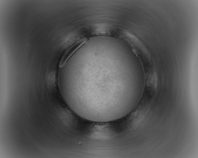 X0000088190560200705221704