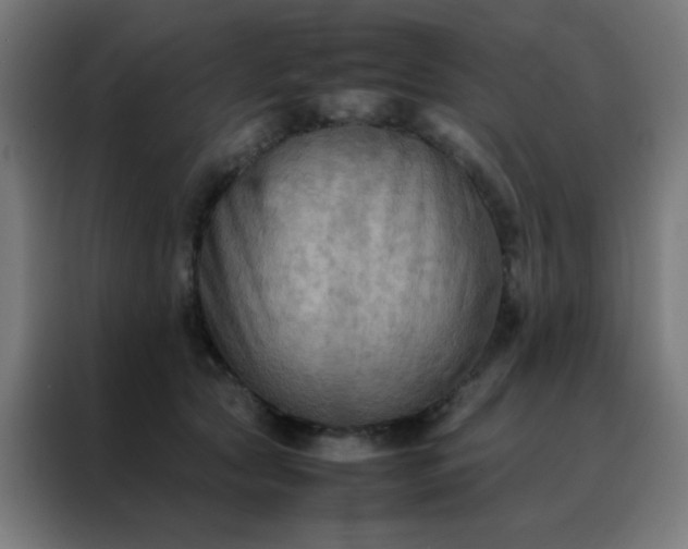 X0000088190561200705221704