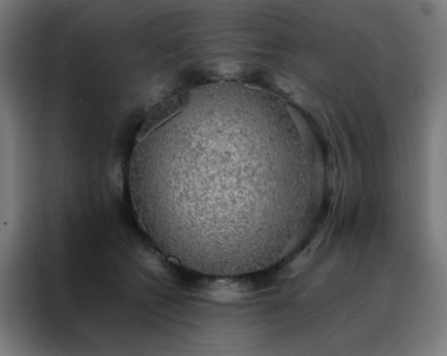 X0000088190562200705221704