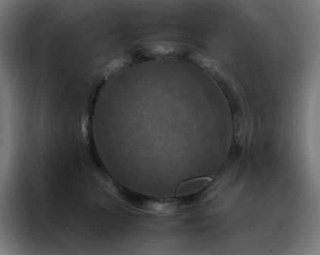 X0000088190563200705221704