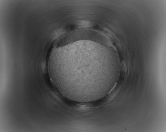 X0000088190564200705221704