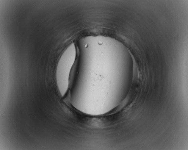X0000088190566200705221704