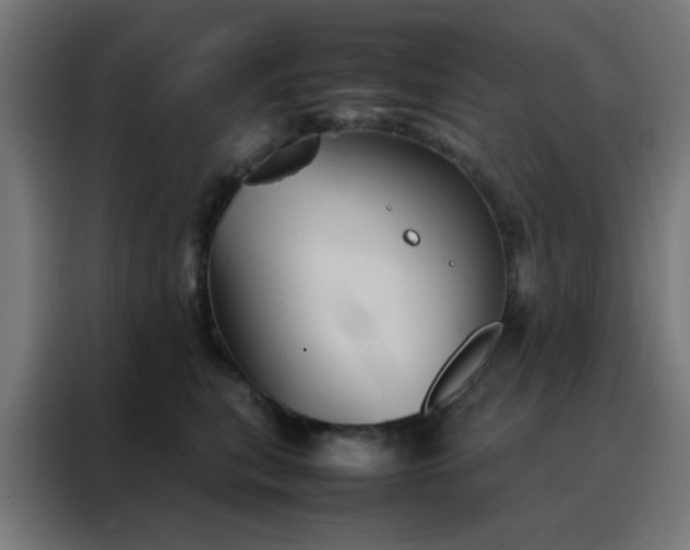 X0000088190567200705221704