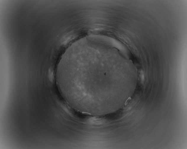 X0000088190568200705221704