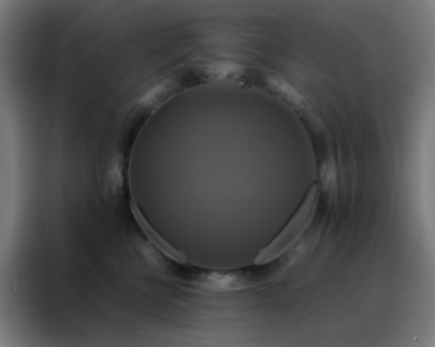 X0000088190570200705221705
